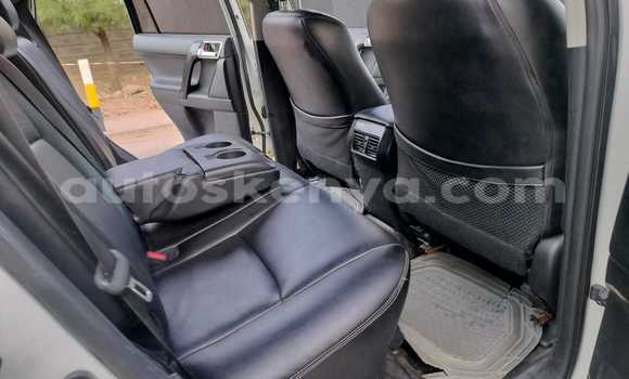Nunua Ilio tumika Toyota Prado Nyeupe Gari ndani ya Nairobi nchini Nairobi Nunua Ilio tumika Toyota Prado Nyeupe Gari ndani ya Nairobi nchini Nairobi