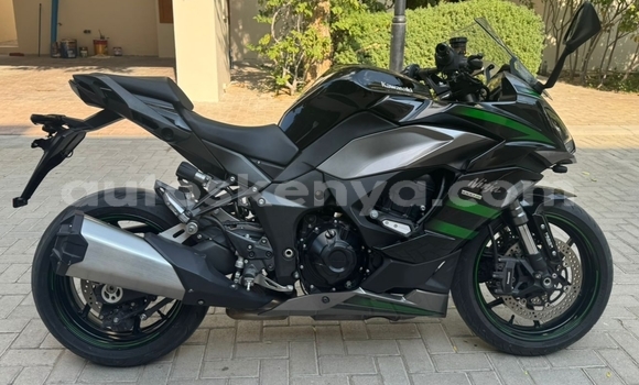 Oofamaa Kawasaki Ninja Beige Doqdoqqee iti Nairobi keessatti Nairobi keessatti
