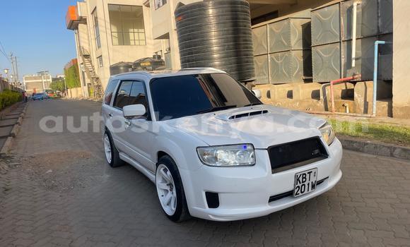 Oofamaa Subaru Forester White Makiinaa iti Nairobi keessatti Nairobi keessatti Oofamaa Subaru Forester White Makiinaa iti Nairobi keessatti Nairobi keessatti