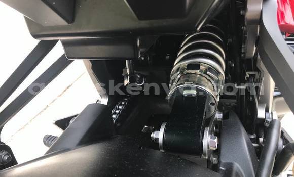 Buy Used Kawasaki Ninja Brown Bike in Nairobi in Nairobi Buy Used Kawasaki Ninja Brown Bike in Nairobi in Nairobi