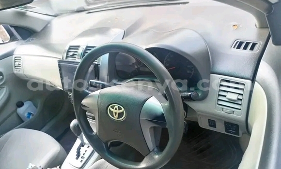 Nunua Ilio tumika Toyota Axio Nyeupe Gari ndani ya Bute nchini Kaskazini Mashariki mwa Kenya Nunua Ilio tumika Toyota Axio Nyeupe Gari ndani ya Bute nchini Kaskazini Mashariki mwa Kenya