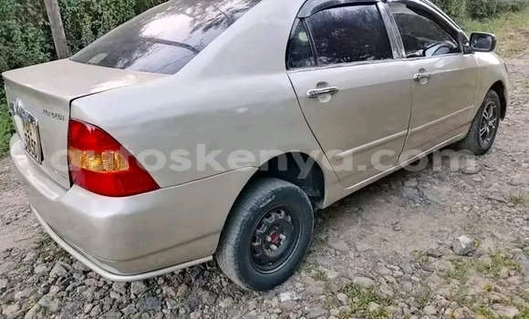 Nunua Ilio tumika Toyota Nadia Nyingine Gari ndani ya Bute nchini Kaskazini Mashariki mwa Kenya Nunua Ilio tumika Toyota Nadia Nyingine Gari ndani ya Bute nchini Kaskazini Mashariki mwa Kenya