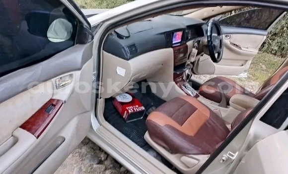 Nunua Ilio tumika Toyota Nadia Nyingine Gari ndani ya Bute nchini Kaskazini Mashariki mwa Kenya Nunua Ilio tumika Toyota Nadia Nyingine Gari ndani ya Bute nchini Kaskazini Mashariki mwa Kenya