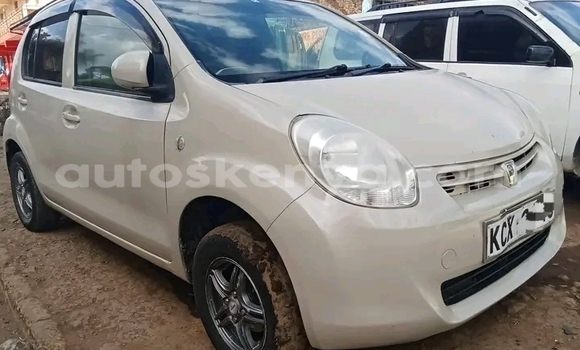 Nunua Ilio tumika Toyota Passo Nyingine Gari ndani ya Bute nchini Kaskazini Mashariki mwa Kenya Nunua Ilio tumika Toyota Passo Nyingine Gari ndani ya Bute nchini Kaskazini Mashariki mwa Kenya