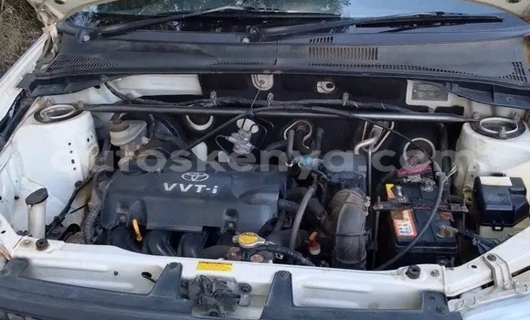 Nunua Ilio tumika Toyota Probox Nyeupe Gari ndani ya Changamwe nchini Pwani Nunua Ilio tumika Toyota Probox Nyeupe Gari ndani ya Changamwe nchini Pwani