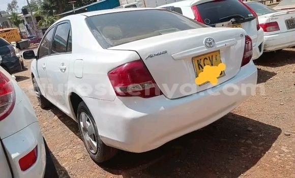 Nunua Ilio tumika Toyota Axio Nyeupe Gari ndani ya Busia nchini West Kenya Nunua Ilio tumika Toyota Axio Nyeupe Gari ndani ya Busia nchini West Kenya