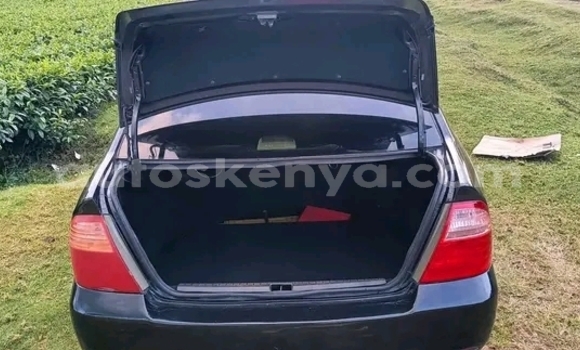 Nunua Ilio tumika Toyota Nadia Nyeusi Gari ndani ya Bute nchini Kaskazini Mashariki mwa Kenya Nunua Ilio tumika Toyota Nadia Nyeusi Gari ndani ya Bute nchini Kaskazini Mashariki mwa Kenya