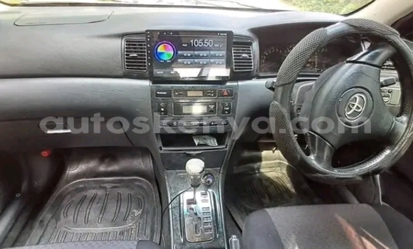 Nunua Ilio tumika Toyota Runx Nyeusi Gari ndani ya Bute nchini Kaskazini Mashariki mwa Kenya Nunua Ilio tumika Toyota Runx Nyeusi Gari ndani ya Bute nchini Kaskazini Mashariki mwa Kenya