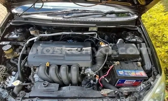 Nunua Ilio tumika Toyota Runx Nyeusi Gari ndani ya Bute nchini Kaskazini Mashariki mwa Kenya Nunua Ilio tumika Toyota Runx Nyeusi Gari ndani ya Bute nchini Kaskazini Mashariki mwa Kenya