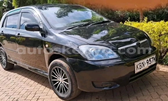 Nunua Ilio tumika Toyota Runx Nyeusi Gari ndani ya Bute nchini Kaskazini Mashariki mwa Kenya Nunua Ilio tumika Toyota Runx Nyeusi Gari ndani ya Bute nchini Kaskazini Mashariki mwa Kenya