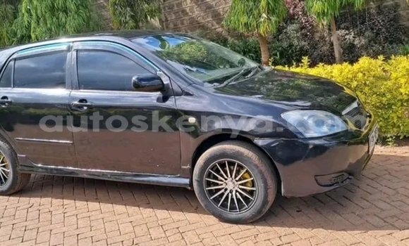 Nunua Ilio tumika Toyota Runx Nyeusi Gari ndani ya Bute nchini Kaskazini Mashariki mwa Kenya Nunua Ilio tumika Toyota Runx Nyeusi Gari ndani ya Bute nchini Kaskazini Mashariki mwa Kenya