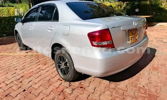 Nunua Ilio tumika Toyota Axio Nyingine Gari ndani ya Bute nchini Kaskazini Mashariki mwa Kenya Nunua Ilio tumika Toyota Axio Nyingine Gari ndani ya Bute nchini Kaskazini Mashariki mwa Kenya