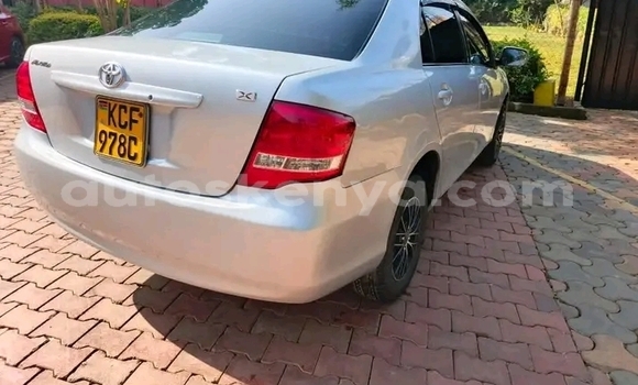 Nunua Ilio tumika Toyota Axio Nyingine Gari ndani ya Bute nchini Kaskazini Mashariki mwa Kenya Nunua Ilio tumika Toyota Axio Nyingine Gari ndani ya Bute nchini Kaskazini Mashariki mwa Kenya