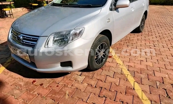 Nunua Ilio tumika Toyota Axio Nyingine Gari ndani ya Bute nchini Kaskazini Mashariki mwa Kenya Nunua Ilio tumika Toyota Axio Nyingine Gari ndani ya Bute nchini Kaskazini Mashariki mwa Kenya