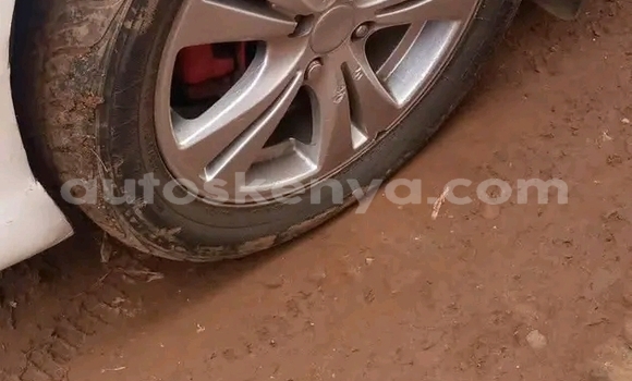 Nunua Ilio tumika Toyota Ractis Nyingine Gari ndani ya Bute nchini Kaskazini Mashariki mwa Kenya Nunua Ilio tumika Toyota Ractis Nyingine Gari ndani ya Bute nchini Kaskazini Mashariki mwa Kenya