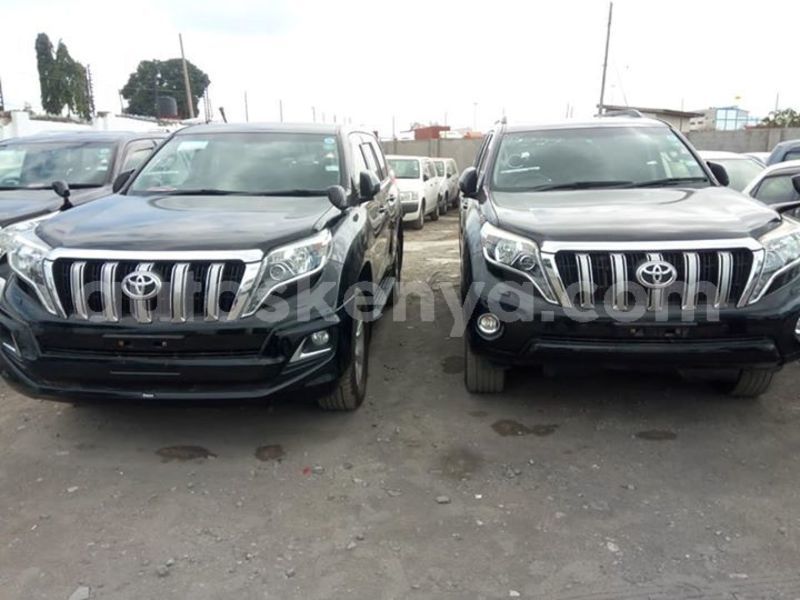 Big with watermark 56119478 2301662399899832 3279825228397543424 n