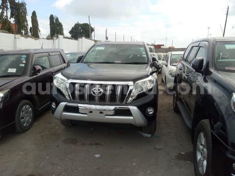 Big with watermark 55559459 2301662293233176 4170609490061688832 n