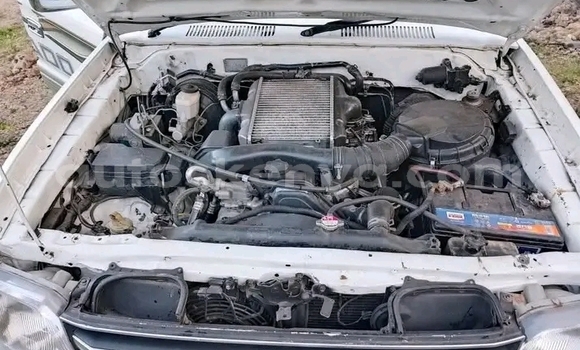 Buy Used Toyota Prado Other Car in Garissa in Northeast Kenya Buy Used Toyota Prado Other Car in Garissa in Northeast Kenya