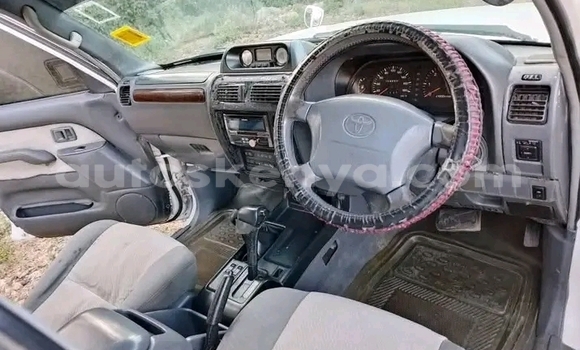 Nunua Ilio tumika Toyota Prado Nyingine Gari ndani ya Garissa nchini Kaskazini Mashariki mwa Kenya Nunua Ilio tumika Toyota Prado Nyingine Gari ndani ya Garissa nchini Kaskazini Mashariki mwa Kenya
