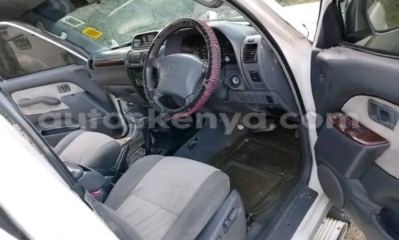 Nunua Ilio tumika Toyota Prado Nyingine Gari ndani ya Garissa nchini Kaskazini Mashariki mwa Kenya Nunua Ilio tumika Toyota Prado Nyingine Gari ndani ya Garissa nchini Kaskazini Mashariki mwa Kenya