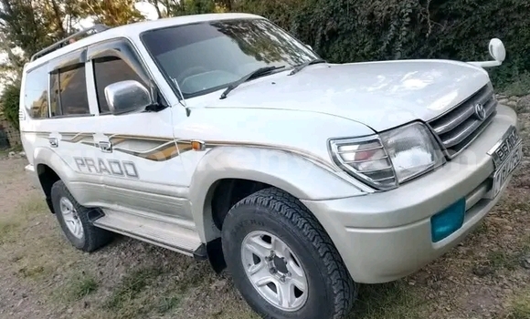 Nunua Ilio tumika Toyota Prado Nyingine Gari ndani ya Garissa nchini Kaskazini Mashariki mwa Kenya Nunua Ilio tumika Toyota Prado Nyingine Gari ndani ya Garissa nchini Kaskazini Mashariki mwa Kenya