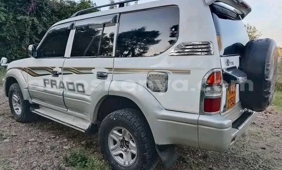 Nunua Ilio tumika Toyota Prado Nyingine Gari ndani ya Garissa nchini Kaskazini Mashariki mwa Kenya Nunua Ilio tumika Toyota Prado Nyingine Gari ndani ya Garissa nchini Kaskazini Mashariki mwa Kenya