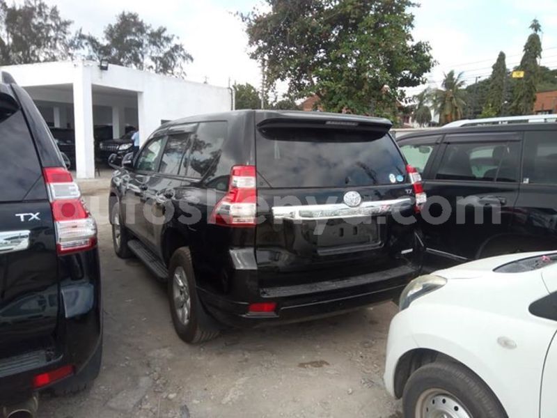 Big with watermark 55539203 2301662106566528 9182753702207815680 n