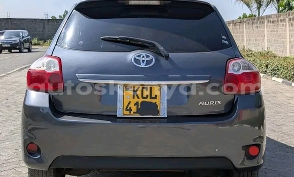 Nunua Ilio tumika Toyota Auris Nyingine Gari ndani ya Bute nchini Kaskazini Mashariki mwa Kenya Nunua Ilio tumika Toyota Auris Nyingine Gari ndani ya Bute nchini Kaskazini Mashariki mwa Kenya