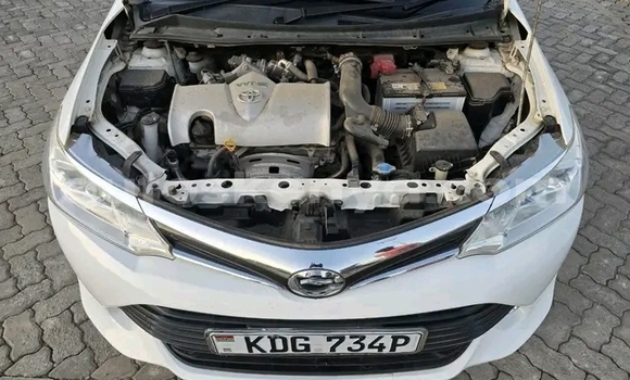 Nunua Ilio tumika Toyota Fielder Nyeupe Gari ndani ya Bute nchini Kaskazini Mashariki mwa Kenya Nunua Ilio tumika Toyota Fielder Nyeupe Gari ndani ya Bute nchini Kaskazini Mashariki mwa Kenya