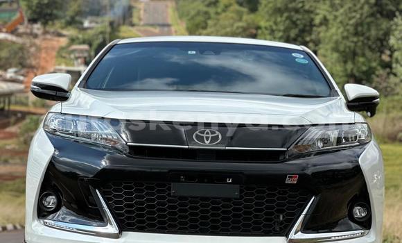 Buy Used Toyota Harrier White Car in Nairobi in Nairobi
