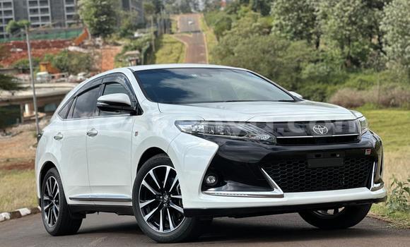 Nunua Ilio tumika Toyota Harrier Nyeupe Gari ndani ya Nairobi nchini Nairobi Nunua Ilio tumika Toyota Harrier Nyeupe Gari ndani ya Nairobi nchini Nairobi