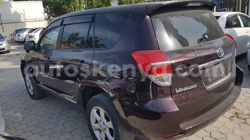 Big with watermark 52961204 2266378886761517 3707015551969656832 n