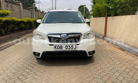 Oofamaa Subaru Forester White Makiinaa iti Nairobi keessatti Nairobi keessatti Oofamaa Subaru Forester White Makiinaa iti Nairobi keessatti Nairobi keessatti