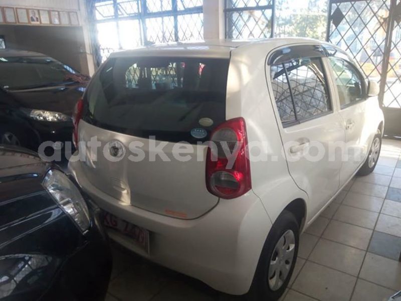 Big with watermark 52024151 2238925166173556 2007157037691043840 n