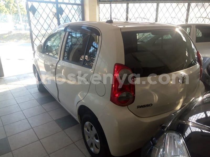 Big with watermark 52024044 2238924962840243 617498937183436800 n