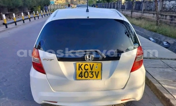 Buy Used Honda Fit White Car in Bute in Northeast Kenya Buy Used Honda Fit White Car in Bute in Northeast Kenya