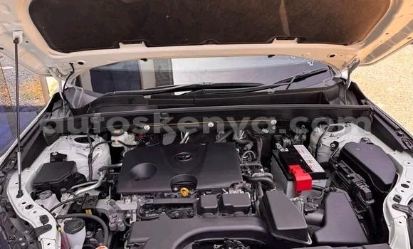 Buy Used Toyota Harrier White Car in Busia in West Kenya Buy Used Toyota Harrier White Car in Busia in West Kenya