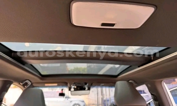 Buy Used Toyota Harrier White Car in Busia in West Kenya Buy Used Toyota Harrier White Car in Busia in West Kenya