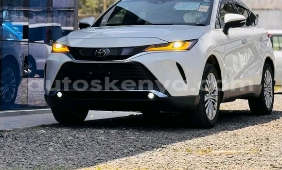 Buy Used Toyota Harrier White Car in Busia in West Kenya Buy Used Toyota Harrier White Car in Busia in West Kenya