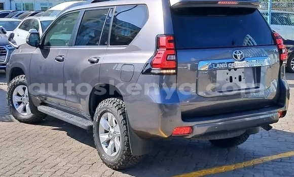 Buy Used Toyota Prado Black Car in Bute in Northeast Kenya Buy Used Toyota Prado Black Car in Bute in Northeast Kenya