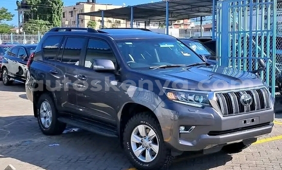 Buy Used Toyota Prado Black Car in Bute in Northeast Kenya Buy Used Toyota Prado Black Car in Bute in Northeast Kenya