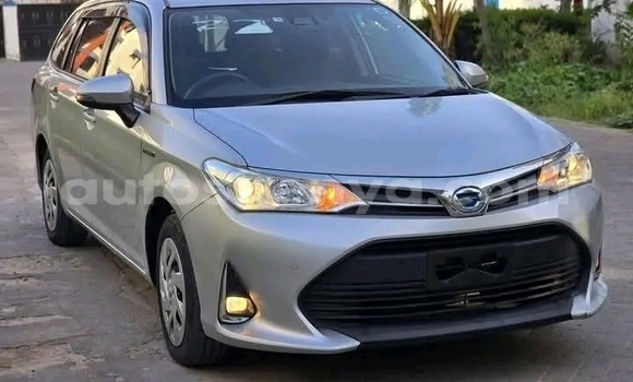 Oofamaa Toyota Fielder Other Makiinaa iti Bute keessatti Northeast Kenya keessatti