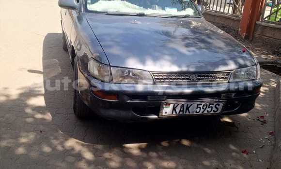 Oofamaa AC Ace Black Makiinaa iti Nairobi keessatti Nairobi keessatti