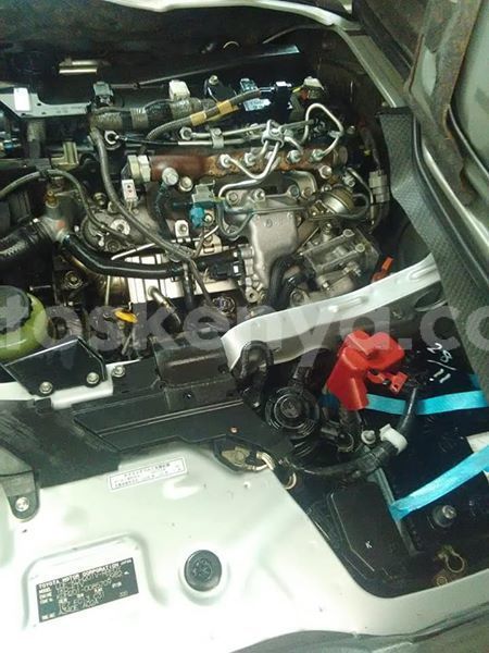 Big with watermark 50914628 2217550098311063 3429314653216309248 n