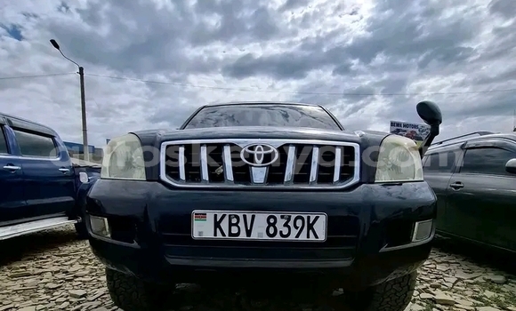 Oofamaa Toyota Land Cruiser Prado Black Makiinaa iti Bute keessatti Northeast Kenya keessatti Oofamaa Toyota Land Cruiser Prado Black Makiinaa iti Bute keessatti Northeast Kenya keessatti