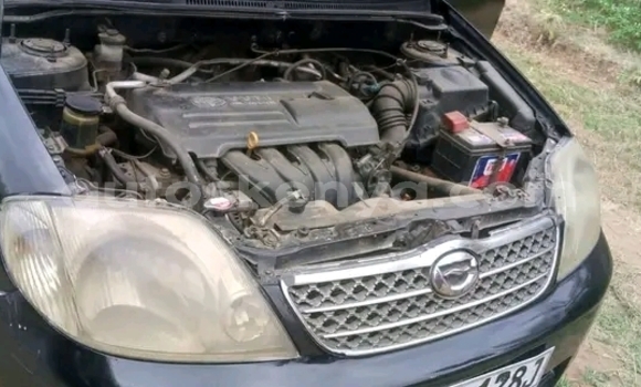 Oofamaa Toyota Nadia Black Makiinaa iti Busia keessatti West Kenya keessatti Oofamaa Toyota Nadia Black Makiinaa iti Busia keessatti West Kenya keessatti