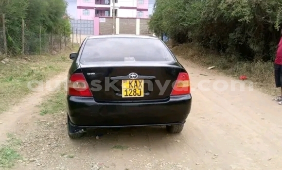 Oofamaa Toyota Nadia Black Makiinaa iti Busia keessatti West Kenya keessatti Oofamaa Toyota Nadia Black Makiinaa iti Busia keessatti West Kenya keessatti