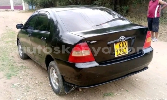 Oofamaa Toyota Nadia Black Makiinaa iti Busia keessatti West Kenya keessatti Oofamaa Toyota Nadia Black Makiinaa iti Busia keessatti West Kenya keessatti