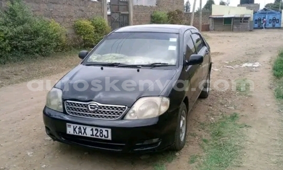 Oofamaa Toyota Nadia Black Makiinaa iti Busia keessatti West Kenya keessatti Oofamaa Toyota Nadia Black Makiinaa iti Busia keessatti West Kenya keessatti