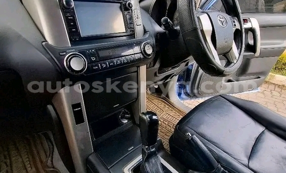 Oofamaa Toyota Prado Other Makiinaa iti Bute keessatti Northeast Kenya keessatti Oofamaa Toyota Prado Other Makiinaa iti Bute keessatti Northeast Kenya keessatti